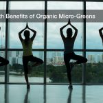 Health Benefits of Organic Micro-Greens