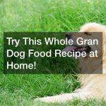 Try This Whole Gran Dog Food Recipe at Home!